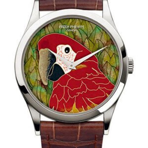 Patek Philippe Calatrave Red Macaw CloisonnŽ Watch - 5077P-080