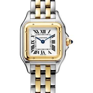 Cartier Panthere de Cartier Watch - 22 mm Yellow Gold And Steel Case - W2PN0006