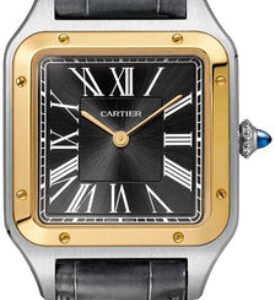 Cartier Santos Dumont Large Yellow Gold And Steel Leather - W2SA0015