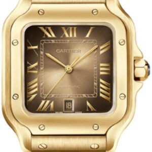 Cartier Santos De Cartier Watch Automatic Movement Yellow Gold Interchangeable Metal And Leather Bracelets - WGSA0095