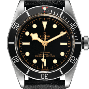 Tudor Black Bay Ref - M79230N-0008