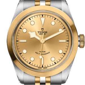 Tudor Black Bay 41 S&G Ref - M79543-0002