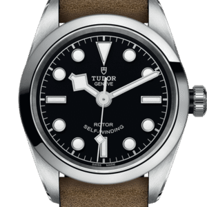 Tudor Black Bay 32 Ref - M79580-0002