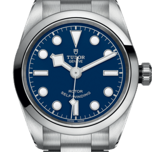 Tudor Black Bay 32 Ref - M79580-0003