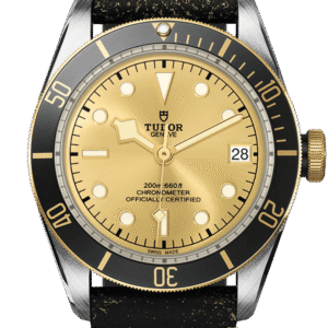 Tudor Black Bay S&G Ref - M79733N-0003