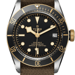 Tudor Black Bay S&G Ref - M79733N-0005
