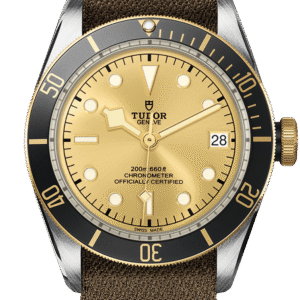 Tudor Black Bay S&G Ref - M79733N-0006