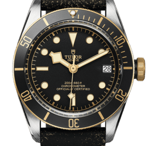 Tudor Black Bay S&G Ref - M79733N-0007