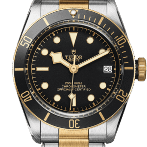 Tudor Black Bay S&G Ref - M79733N-0008